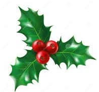 images (1)