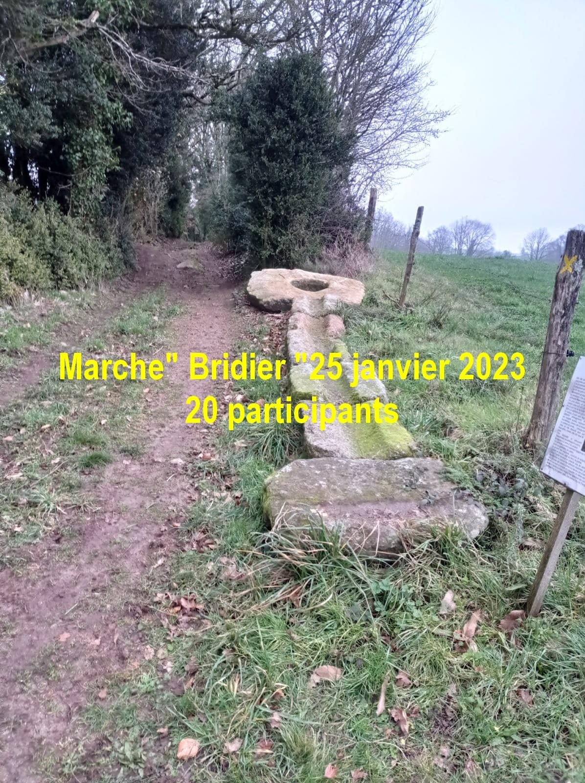 bridier