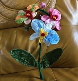 unnamed (3)2