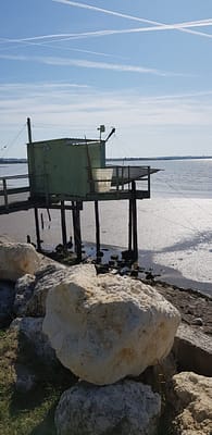 20190824_105912