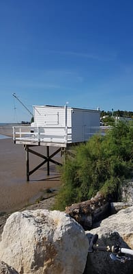 20190824_105915